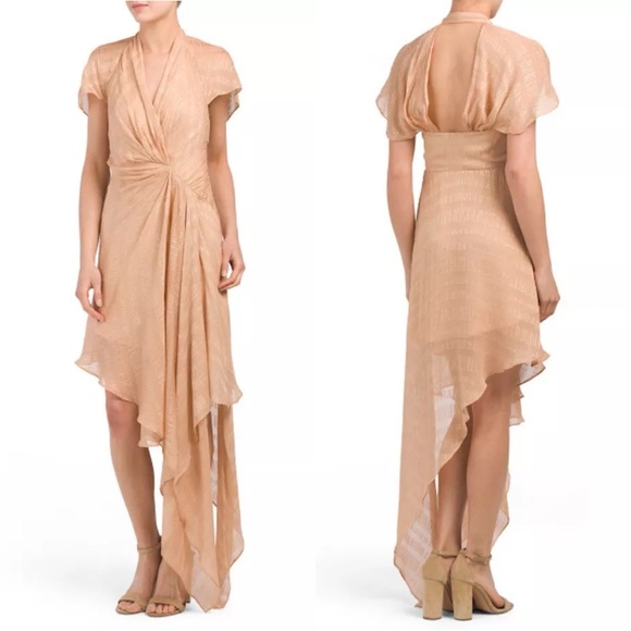 RONNY KOBO • Yuval Silk Dress in Peach - Picture 14 of 14